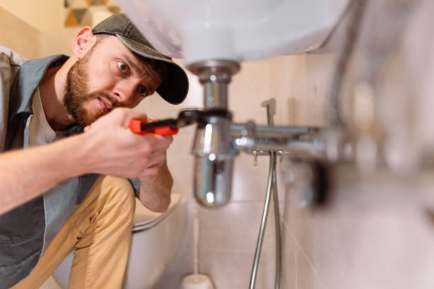 Best Local Plumber Services  in Evergreen Park, IL