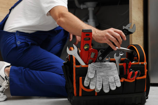 Best Clogged Drain Plumber  in Evergreen Park, IL